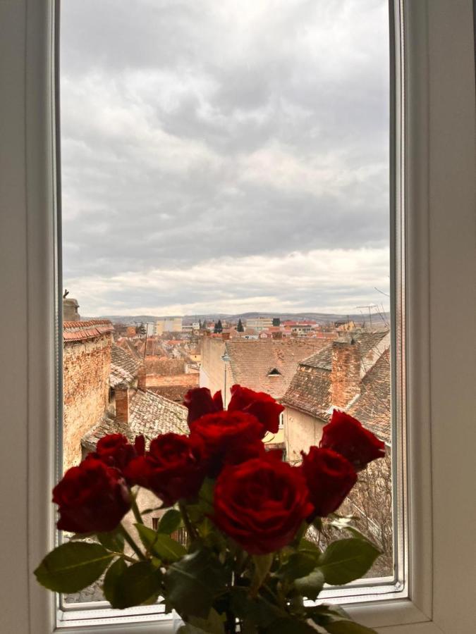 Enjoy Daire Sibiu Dış mekan fotoğraf