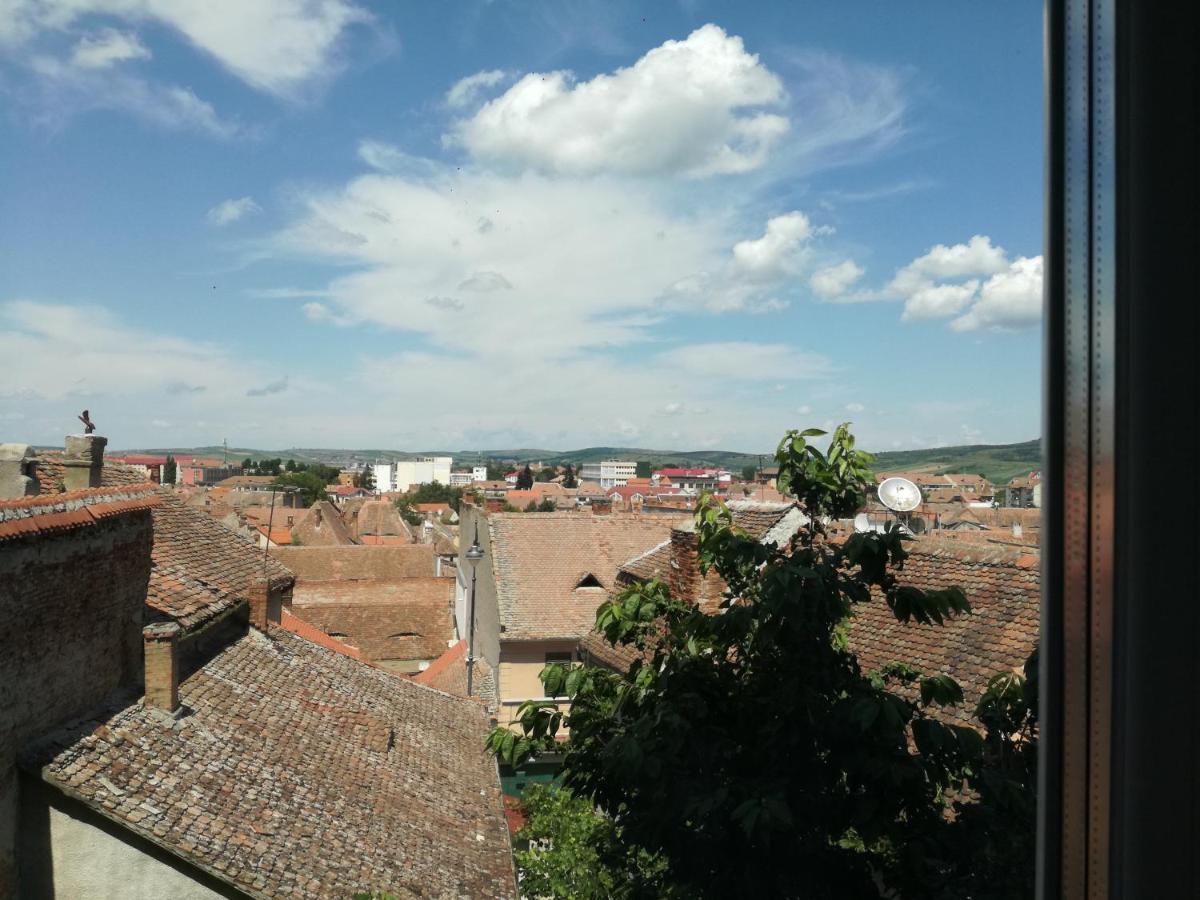 Enjoy Daire Sibiu Dış mekan fotoğraf